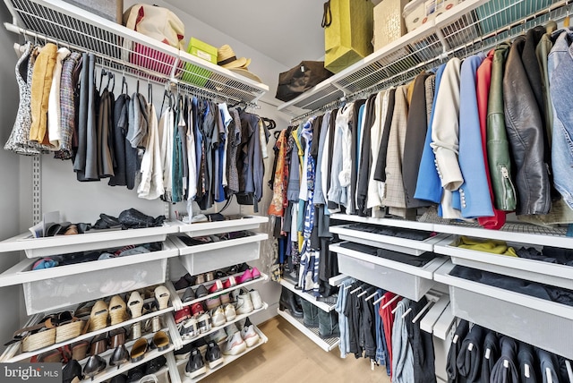 view of spacious closet