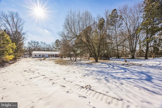 view of yard layered in snow