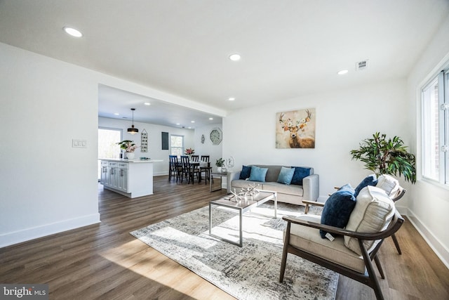 living room with dark hardwood / wood-style floors