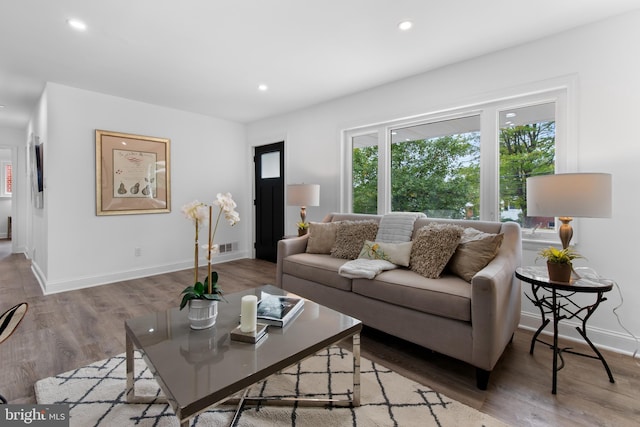 living room featuring hardwood / wood-style floors