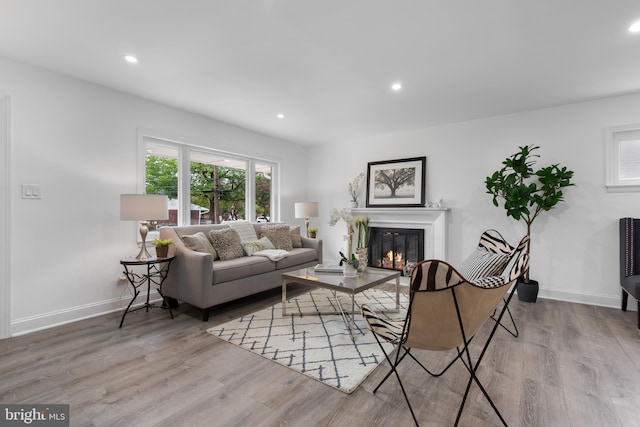 living room featuring light wood-type flooring