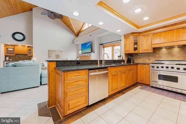 kitchen featuring sink, appliances with stainless steel finishes, dark stone countertops, a raised ceiling, and kitchen peninsula