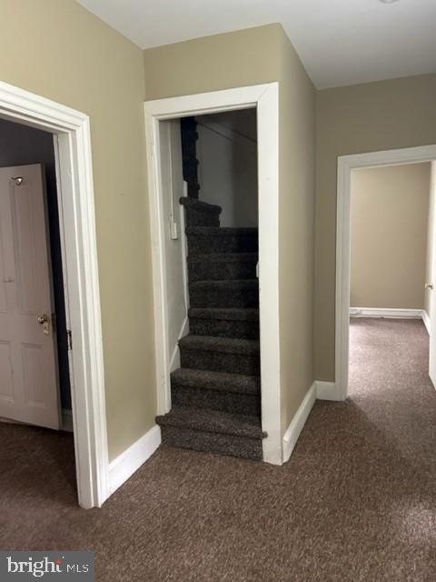 staircase featuring carpet floors and baseboards