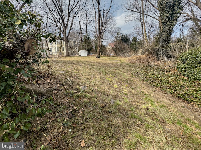 view of yard with a storage shed and an outbuilding