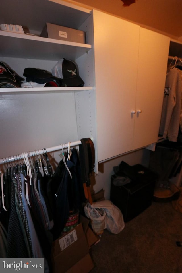 spacious closet with carpet floors