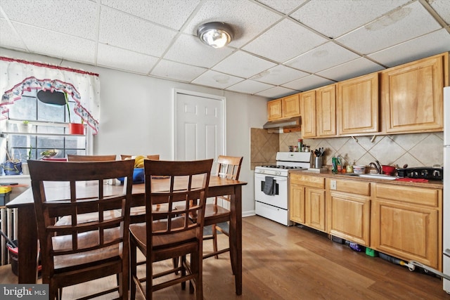 kitchen with sink, dark wood-type flooring, a paneled ceiling, white gas range, and decorative backsplash