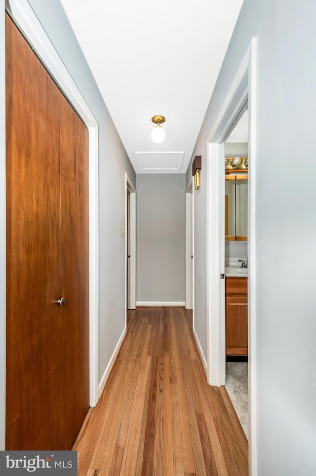 hallway featuring sink and light hardwood / wood-style floors