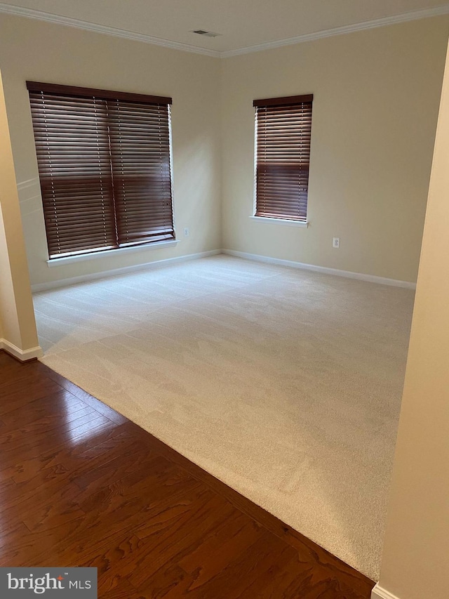 spare room with crown molding and carpet flooring