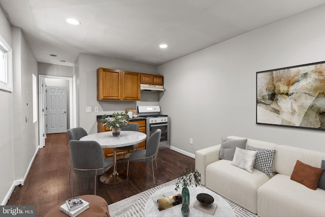 living room featuring dark wood-type flooring