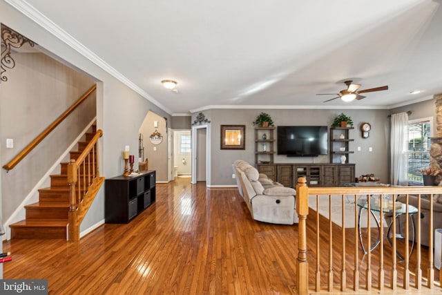 living room with ceiling fan, ornamental molding, and wood-type flooring