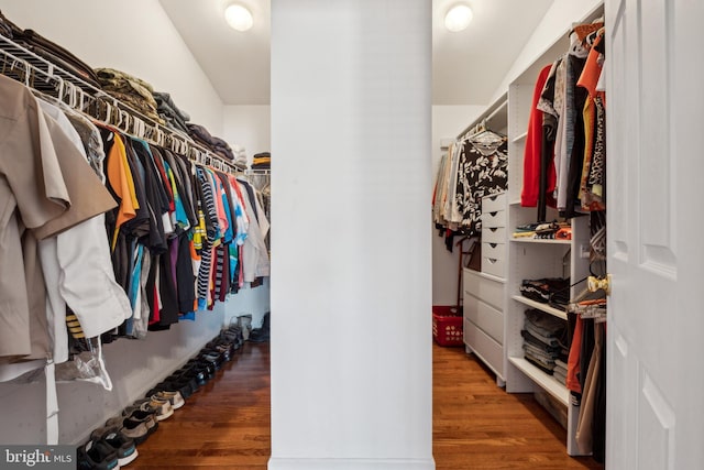 spacious closet with dark wood-type flooring