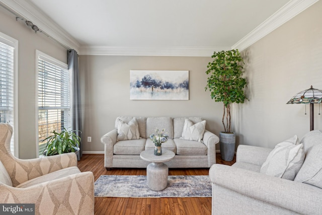 living room featuring dark hardwood / wood-style flooring and ornamental molding