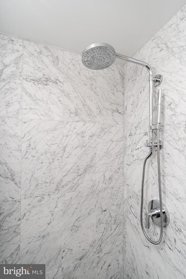 room details with tiled shower