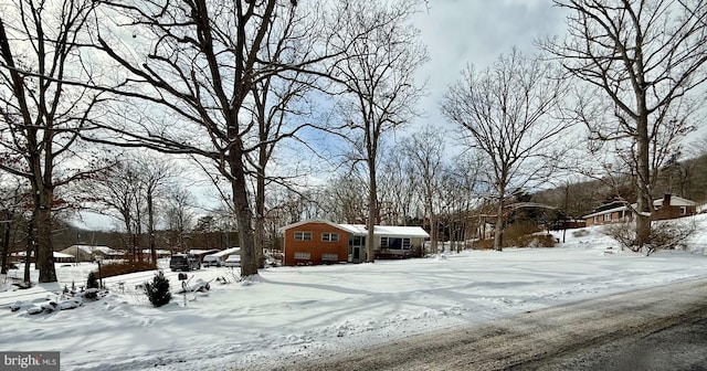 view of yard covered in snow