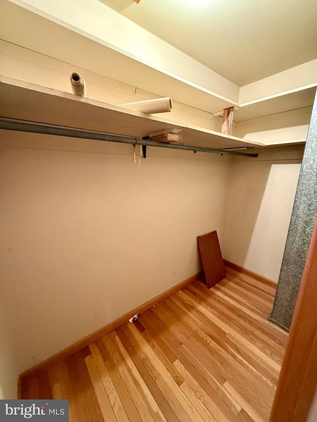 spacious closet featuring light wood-type flooring