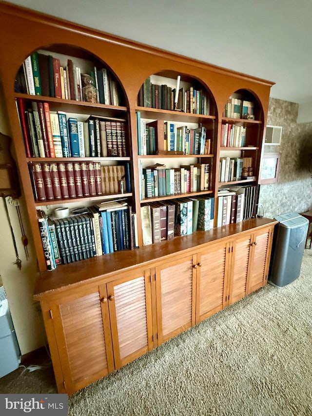 sitting room featuring carpet floors