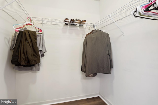 spacious closet featuring dark hardwood / wood-style floors