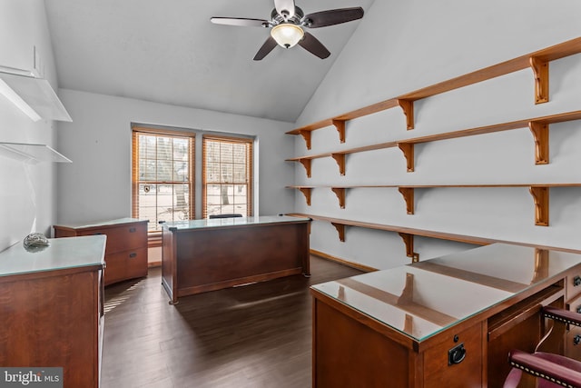 office space with ceiling fan, lofted ceiling, and dark hardwood / wood-style flooring