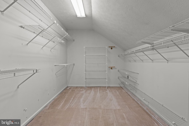 walk in closet with lofted ceiling and light colored carpet