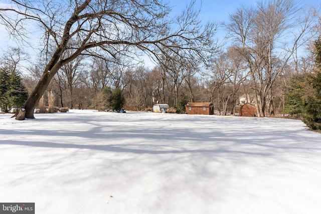 yard covered in snow with a storage unit