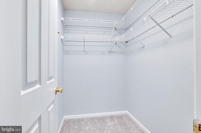 spacious closet with carpet flooring