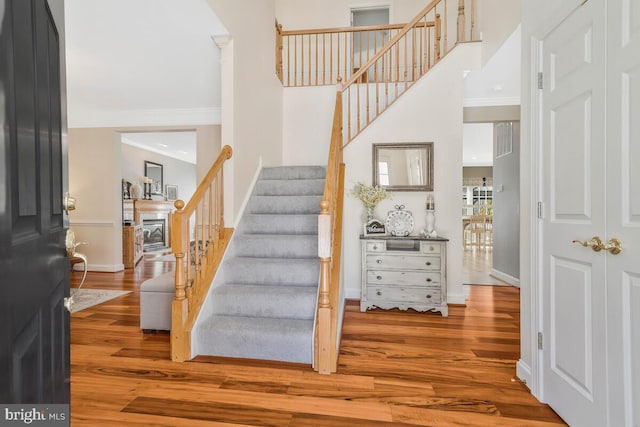 staircase with crown molding and wood-type flooring