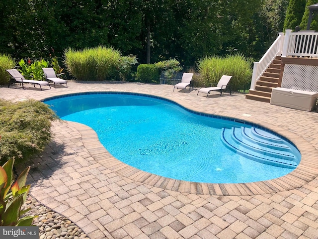 view of pool featuring a patio