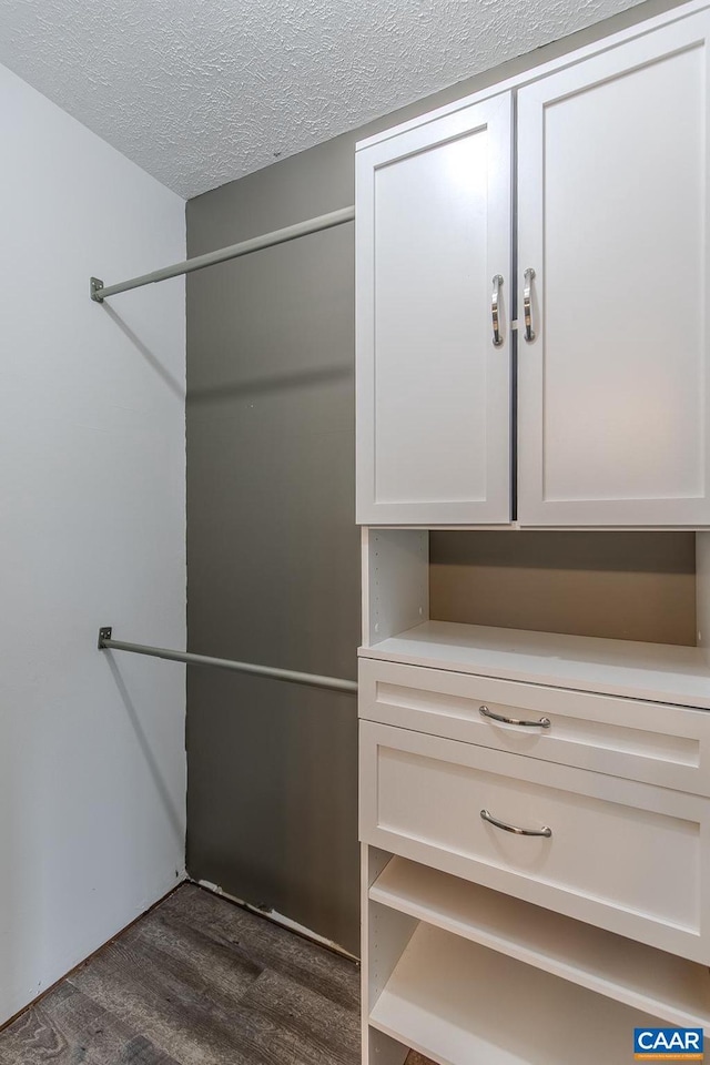 walk in closet featuring dark hardwood / wood-style flooring