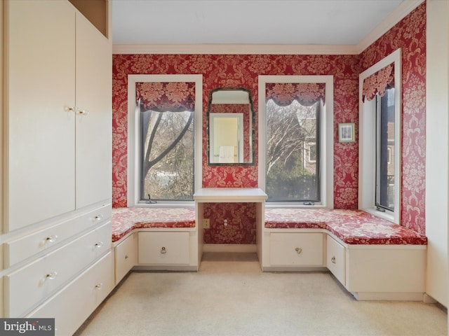 unfurnished room featuring built in desk and light carpet