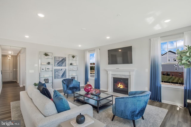 living room featuring a premium fireplace and dark wood-type flooring