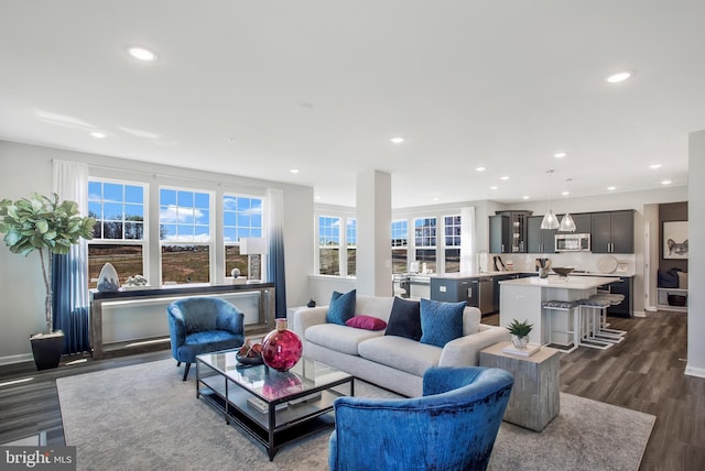 living room featuring dark hardwood / wood-style flooring