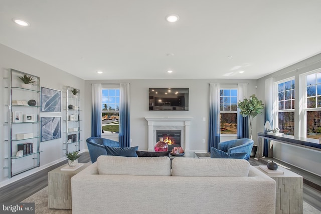 living room featuring hardwood / wood-style flooring and a premium fireplace