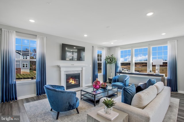 living room featuring hardwood / wood-style flooring, a fireplace, and a healthy amount of sunlight