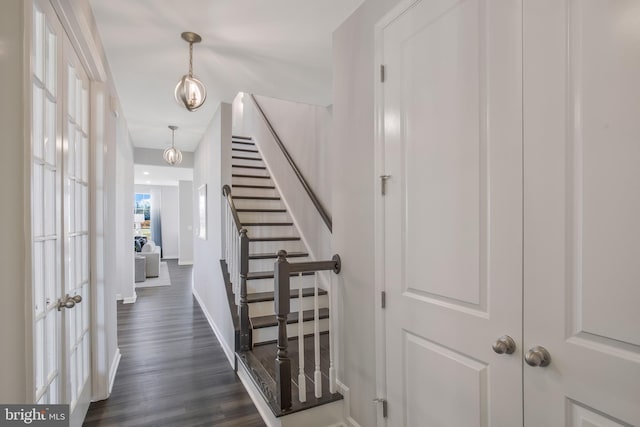 entryway with dark hardwood / wood-style flooring