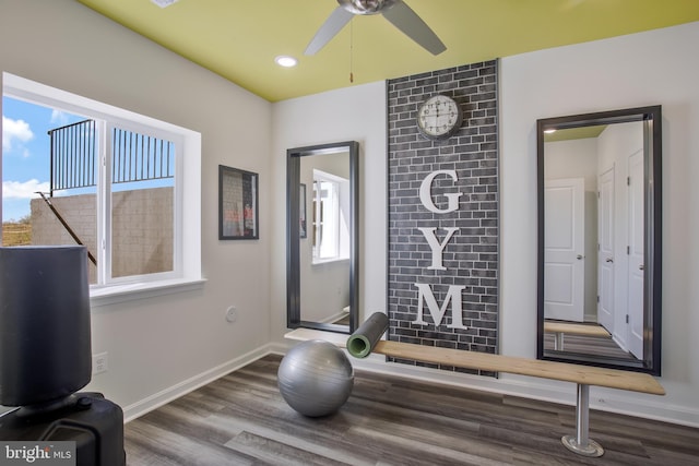 exercise room with hardwood / wood-style flooring and a healthy amount of sunlight