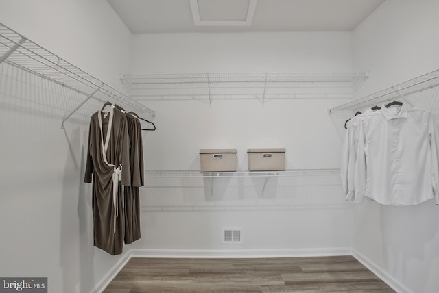 spacious closet featuring hardwood / wood-style floors