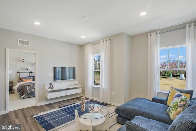 living room featuring hardwood / wood-style floors