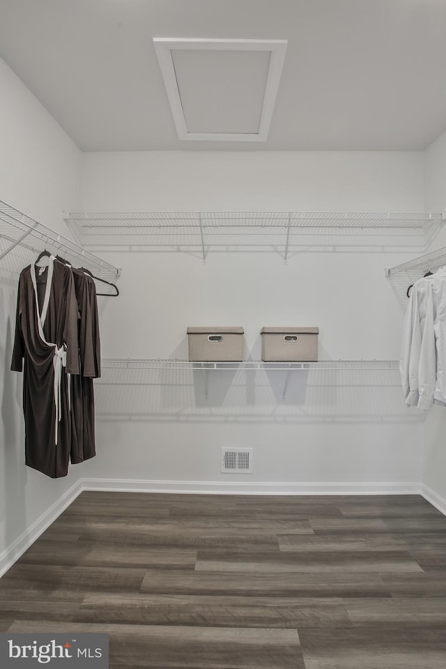 walk in closet featuring dark hardwood / wood-style floors