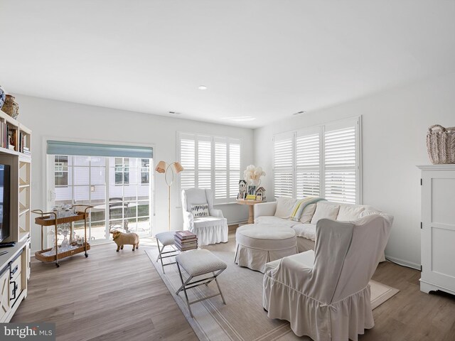 living room with light wood-type flooring