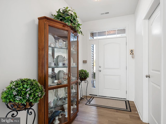 foyer entrance featuring wood-type flooring