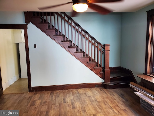 staircase with ceiling fan and wood-type flooring