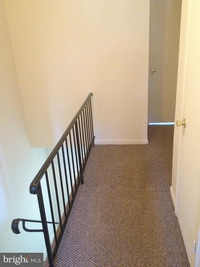 stairs featuring carpet flooring