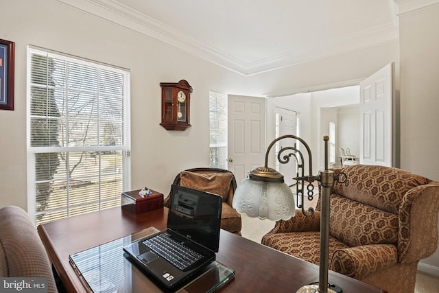 office space with ornamental molding