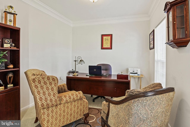 carpeted home office with crown molding and baseboards