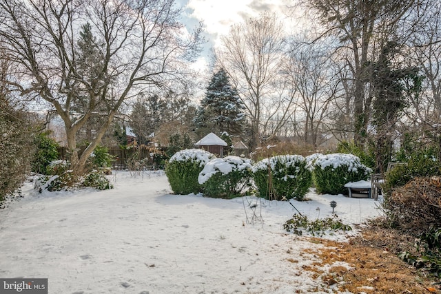 view of snowy yard