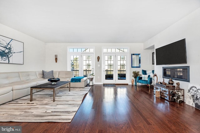 living room featuring wood-type flooring