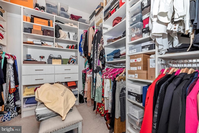 spacious closet with carpet floors