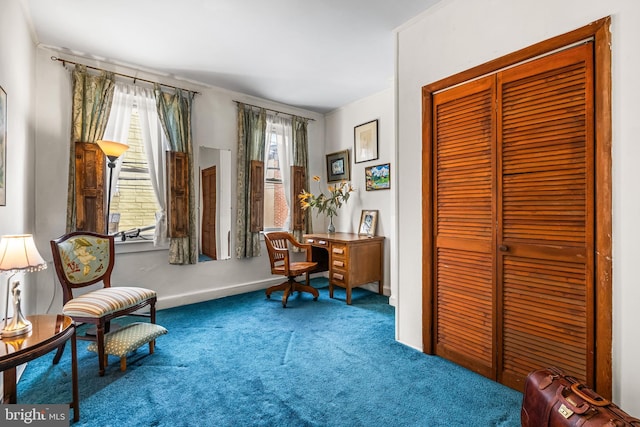 sitting room with carpet