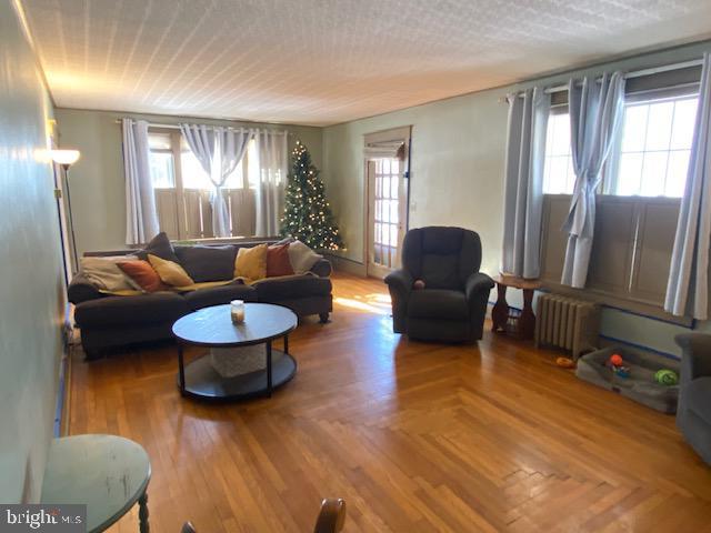 living room featuring radiator