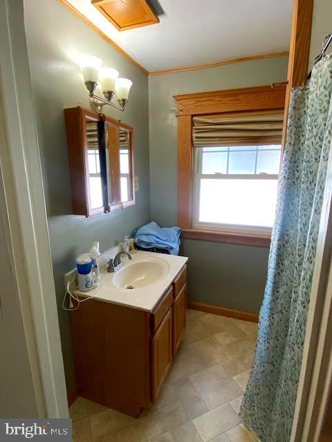 bathroom with vanity, ornamental molding, and a healthy amount of sunlight